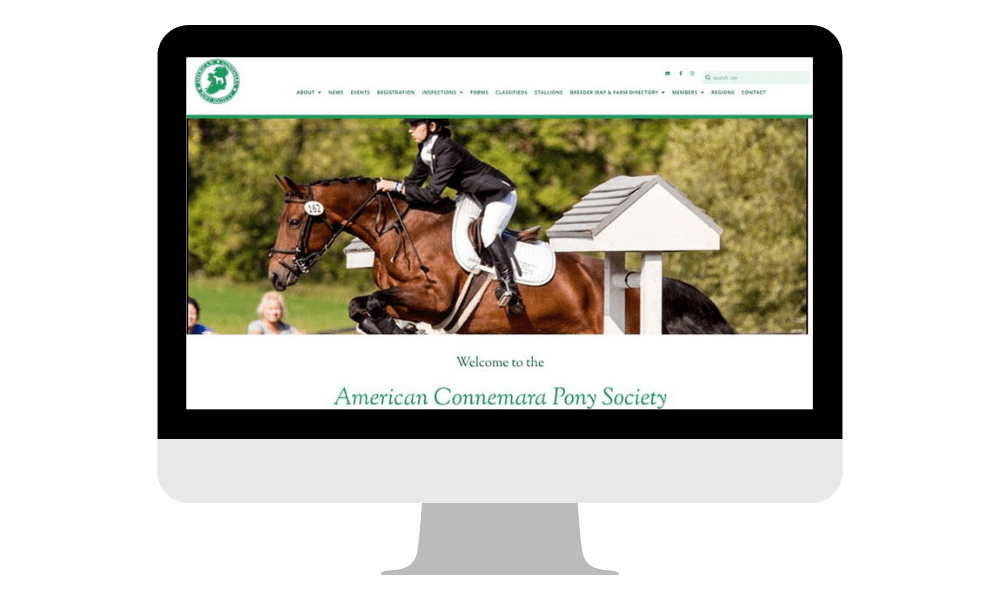 Read more about the article American Connemara Pony Society