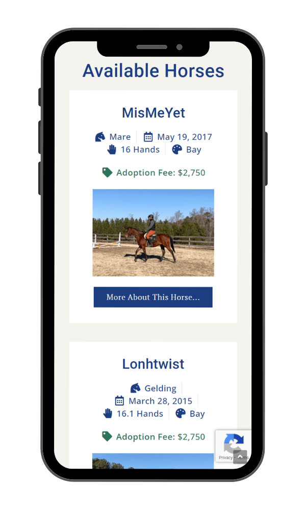 iPhone screen displaying custom responsive website design.